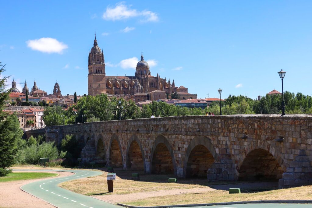 Visita Salamanca Monumental