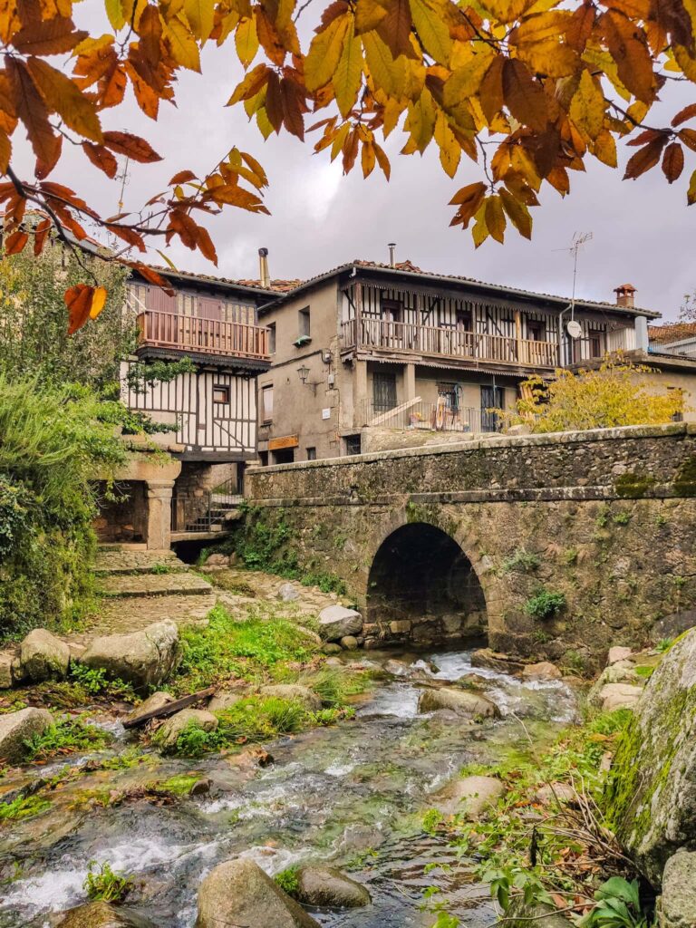 Visita guiada a La Alberca y Sierra de Francia